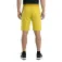 Wildcountry Session shorts