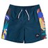 Quiksilver Arch Print Volley Youth 15´´ Swimming Shorts