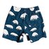 Quiksilver Jaws Volley 12´´ Swimming Shorts
