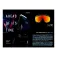 Bolle Chronoshield aurinkolasit
