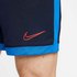 Nike Dri Fit Academy Short Pants