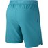 Nike Pro Flex Vent Max 3.0 Shorts