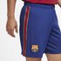 Nike Shorts Bukser FC Barcelona Breathe Stadium 20/21