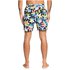 Quiksilver Out There Volley NB 17´´ Swimming Shorts