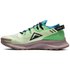 Nike Chaussures Pegasus Trail 2