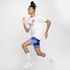 Nike Short Flex Stride 5´´ 2 In 1