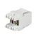 Startech 180° Cat 6 Keystone 壁装插座
