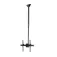 Startech Ceiling Mount for TV-3.5´ to 5´ Po