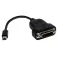 Startech Mini Active displayport to dvi adapter