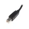 Startech Câble USB vers B -M/M 2m 2.0 A
