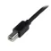 Startech Câble USB actif vers B -M/M 20m 2.0 A