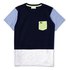 Lacoste Cotton Colourblock Short Sleeve T-Shirt