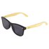 Hydroponic Miami Polarized Sunglasses