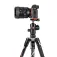 Manfrotto Befree Advanced Alpha Sony 三脚架
