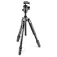Manfrotto Trépied Befree GT Twist Lock