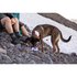 Ruffwear Artist Series Quencher Συσκευασμένο μπολ σκύλου
