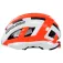 Salice Gavia helm