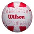 Wilson Volleyball Seasonal
