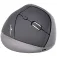 Bluestork Ergonomic Vertical 무선 마우스