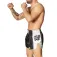 Leone1947 Pantalons curts de boxa Training