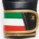 Leone1947 Italy 전투 장갑