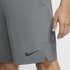 Nike Pantalon Court Flex
