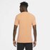 Nike Dri Fit Short Sleeve T-Shirt