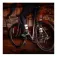 Ass savers Mudder Regular front mudguard
