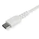 Startech USB-C 电缆 1m
