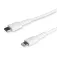 Startech USB-C 转 Lightning 连接线 2m