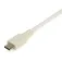 Startech USB-C Ethernet RJ45 adapter