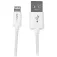 Startech 8-pin Lightning To USB- cable 1m