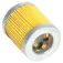 Coltri MCH36 Oil Until 2018 filter