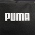 Puma Arm Pocket