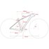GHOST Bicicleta MTB Lector SF LC Pro 29 2020