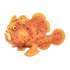 Safari ltd Karakter Frogfish