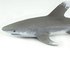 Safari ltd Karakter Oceanic Whitetip Shark