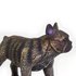 Safari ltd Figura Bulldog Francés