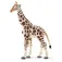 Safari ltd Giraffenfigur