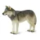 Safari Ltd Grey Wolf Figure