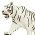 Safari ltd Figura Del Tigre Siberià Blanc