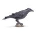 Safari Ltd Figurine Corbeau