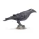 Safari ltd Rabenfigur