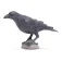 Safari ltd Rabenfigur