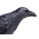 Safari ltd Rabenfigur