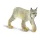 Safari ltd Luchsfigur