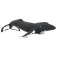 Safari Ltd Humpback Whale Sea Life figuur