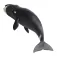 Safari ltd Bowhead Whale Rysunek