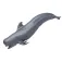 Safari ltd Pilot Whale figuur