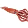 Safari ltd Giant Squid figuur